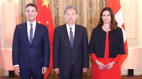 China's top legislator calls for high-level development of innovative strategic partnership with Switzerland